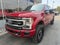 2021 Ford Super Duty F-350 SRW Platinum